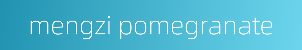 mengzi pomegranate的同义词