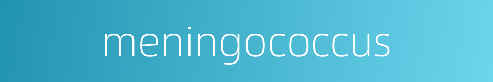 meningococcus的同义词