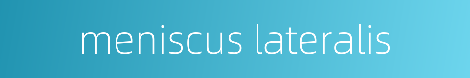 meniscus lateralis的同义词