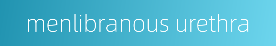 menlibranous urethra的同义词