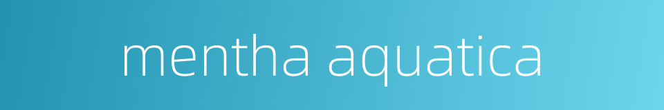 mentha aquatica的同义词