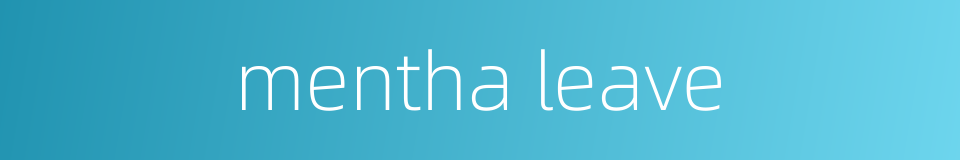 mentha leave的同义词