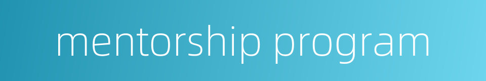 mentorship program的同义词