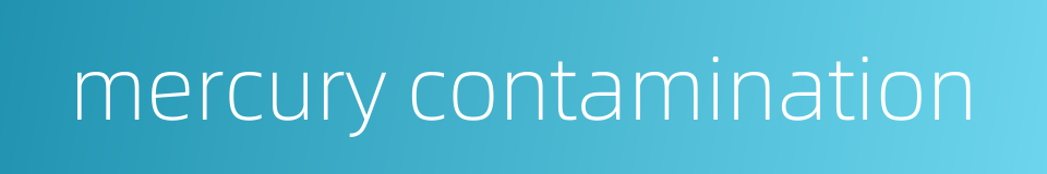 mercury contamination的同义词