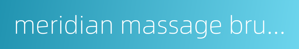 meridian massage brush的同义词