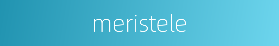 meristele的同义词