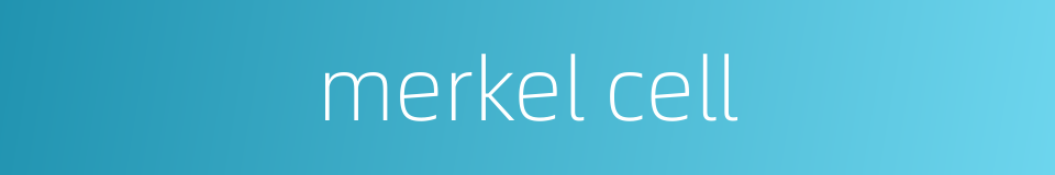 merkel cell的同义词
