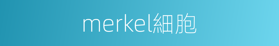 merkel細胞的同義詞