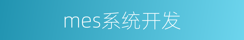 mes系统开发的同义词