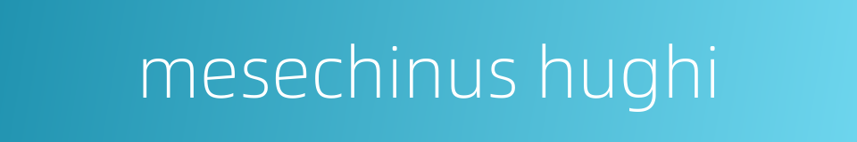 mesechinus hughi的同义词