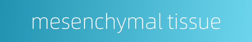 mesenchymal tissue的同义词