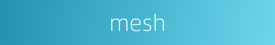 mesh的同义词