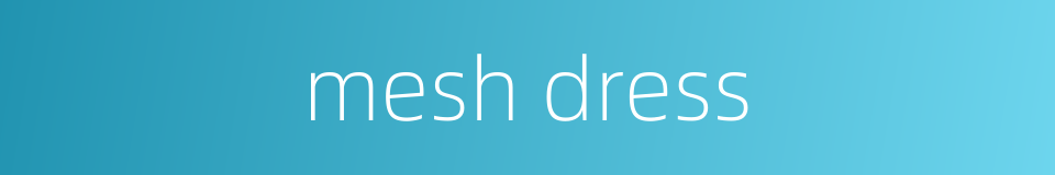 mesh dress的同义词
