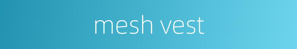 mesh vest的同义词