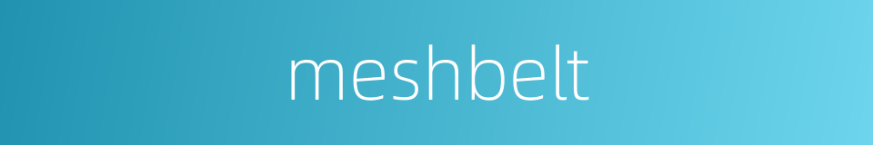 meshbelt的同义词