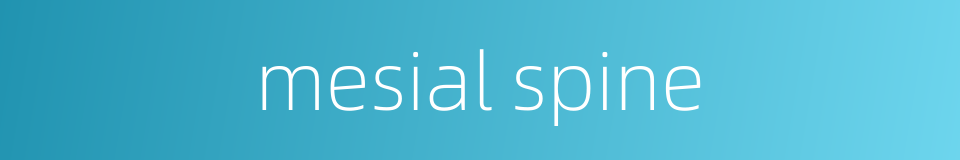 mesial spine的同义词