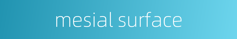 mesial surface的同义词