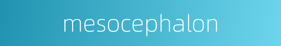 mesocephalon的同义词