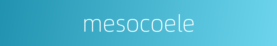 mesocoele的同义词