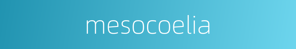 mesocoelia的同义词