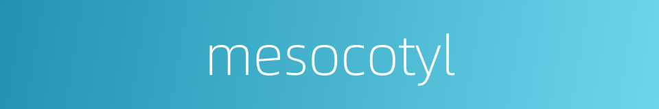 mesocotyl的同义词