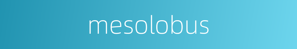 mesolobus的同义词