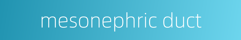 mesonephric duct的同义词
