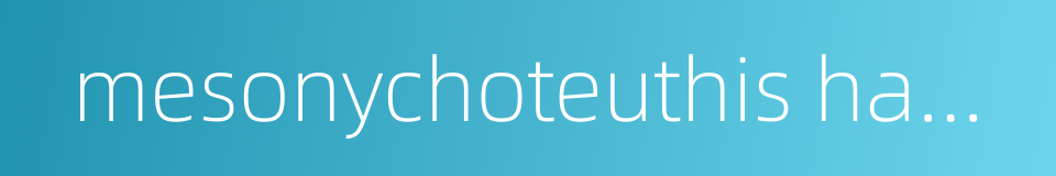 mesonychoteuthis hamiltoni的同义词