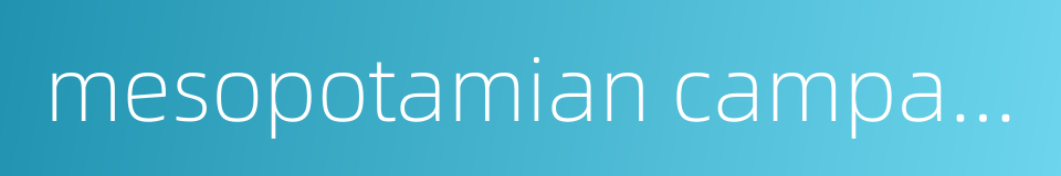 mesopotamian campaign的同义词