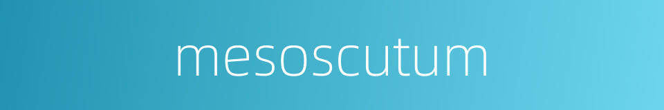 mesoscutum的同义词