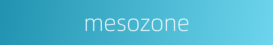 mesozone的同义词