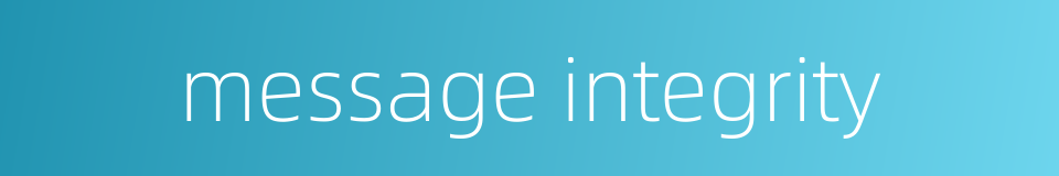 message integrity的同义词