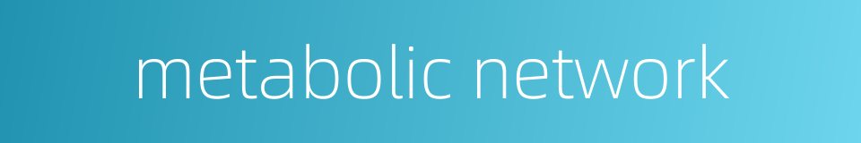 metabolic network的同义词
