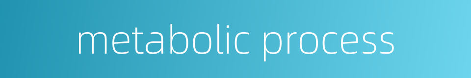 metabolic process的同义词