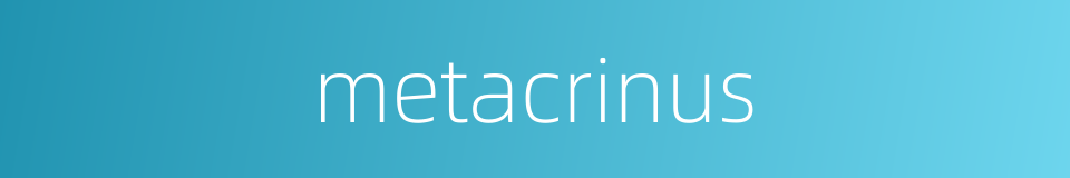 metacrinus的同义词