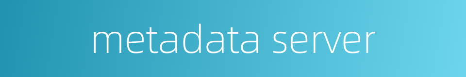 metadata server的同义词