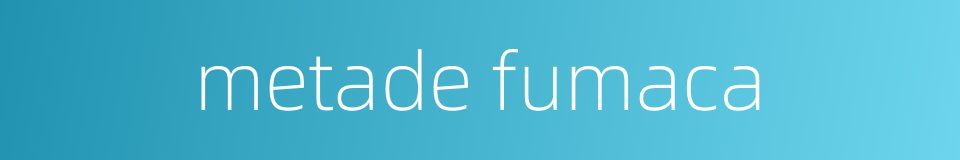 metade fumaca的同义词