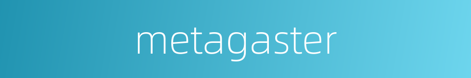 metagaster的同义词