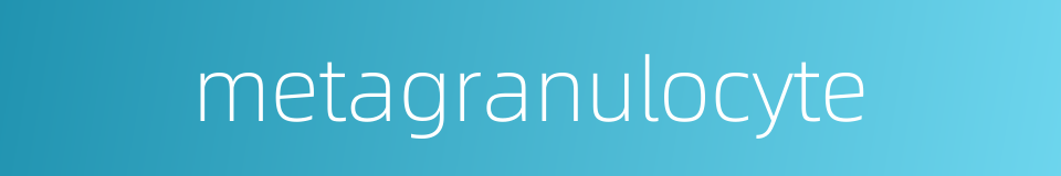 metagranulocyte的同义词