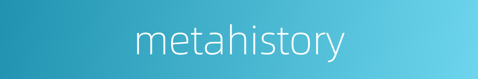 metahistory的同义词