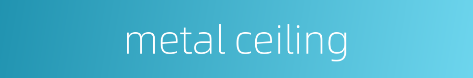 metal ceiling的同义词
