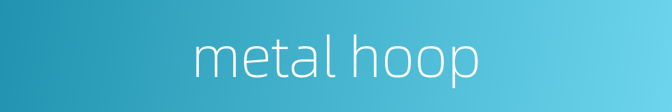 metal hoop的同义词