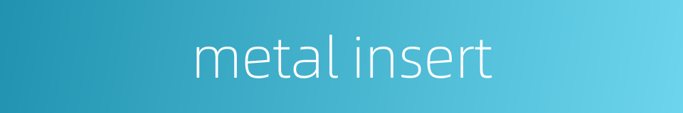 metal insert的同义词