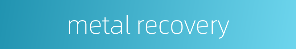 metal recovery的同义词