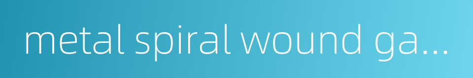 metal spiral wound gasket的同义词