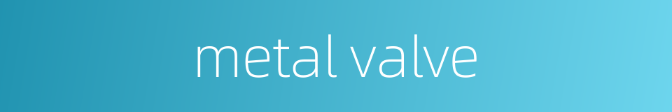 metal valve的同义词