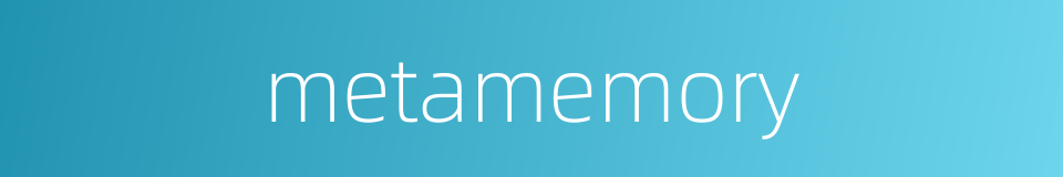 metamemory的同义词