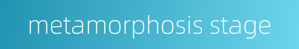 metamorphosis stage的同义词
