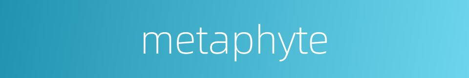 metaphyte的同义词