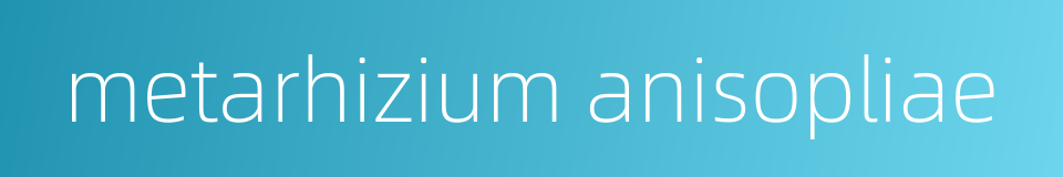 metarhizium anisopliae的同义词